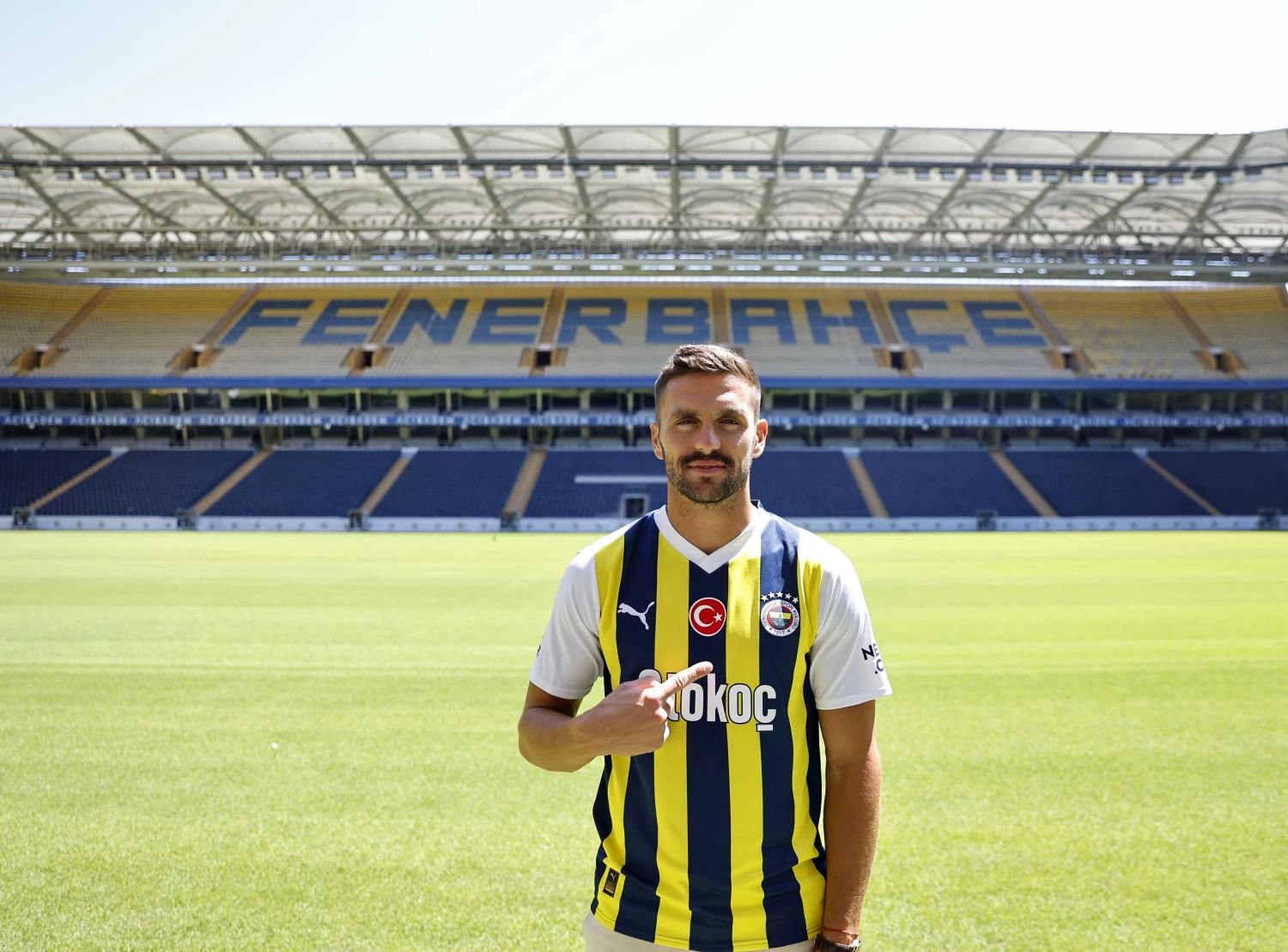 Dusan Tadic, Fenerbahçe'de