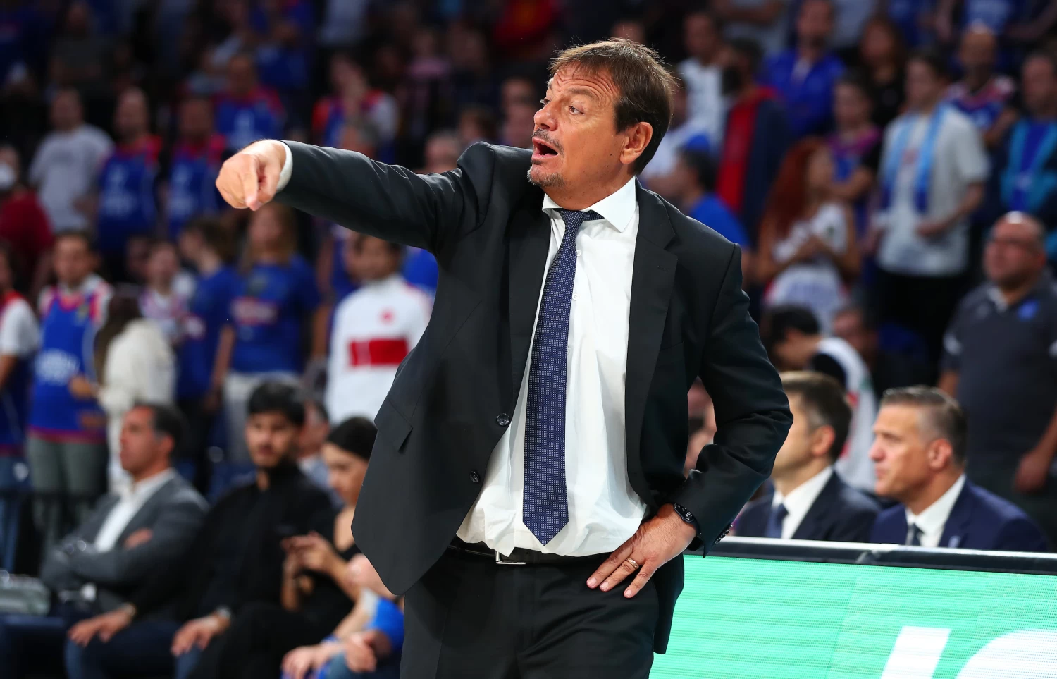 Panathinaikos, Ergin Ataman ile 2 yıllık sözleşme imzaladı